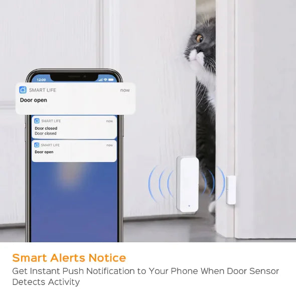 Smart Home Door Sensor - Prestige Home Co